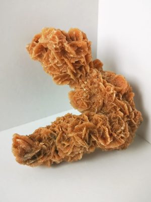 PHOTO-2023-10-26-17-47-46 (2)